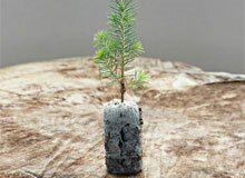 Подставка для елки Подставка для елки